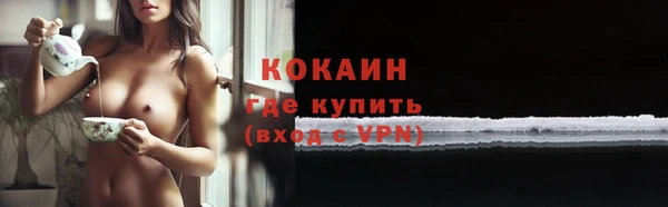 тгк Абаза