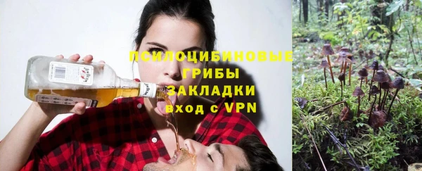 тгк Абаза