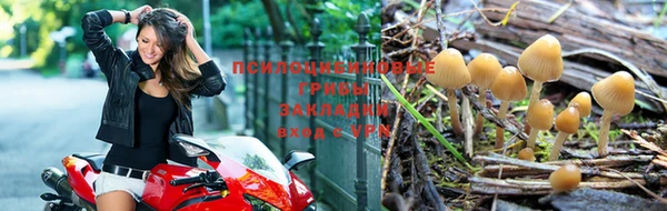 тгк Абаза