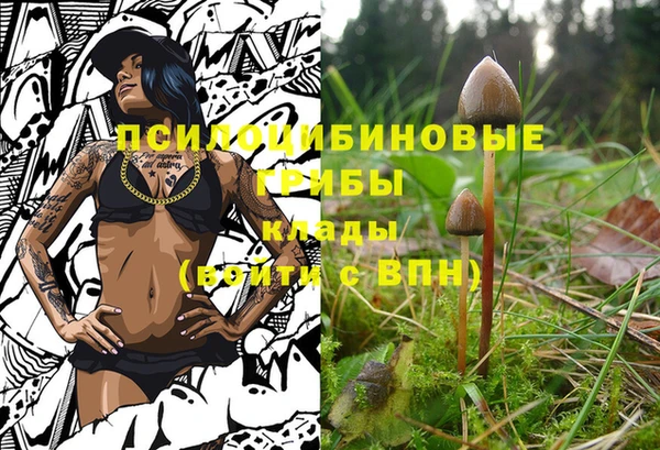 гашишное масло Абинск